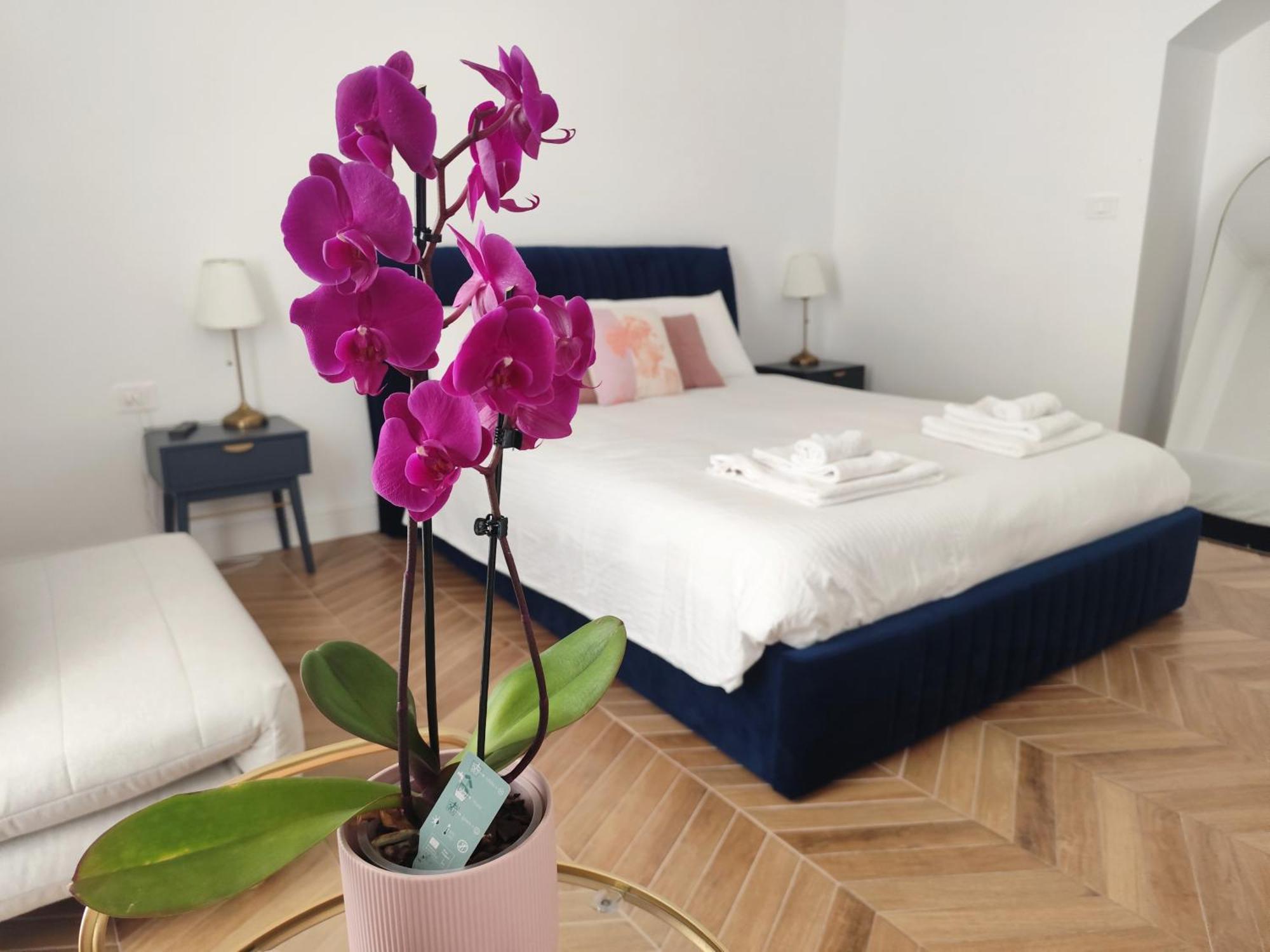 Vatican Eco Suite Рим Екстериор снимка